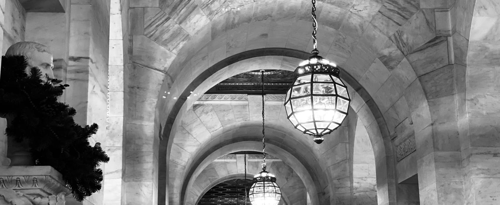 Todo especialista foi iniciante um dia